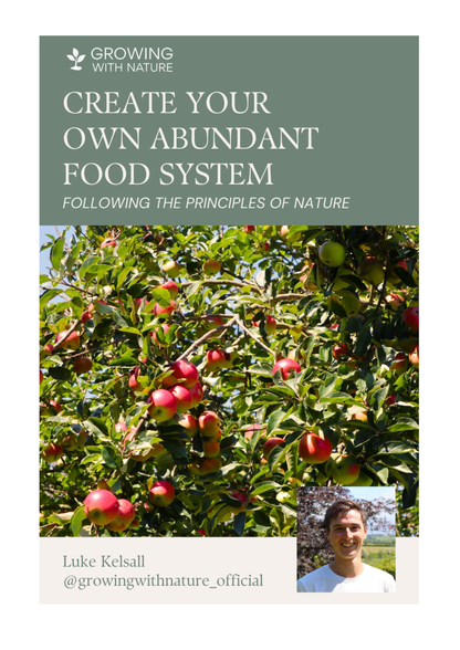 Create Your Own Abundant Food System - Following The Principles Of Nature