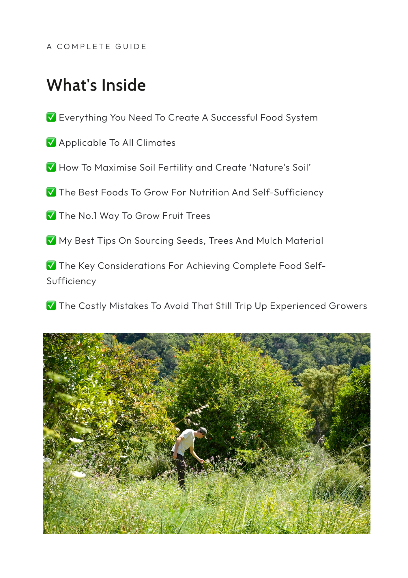 Create Your Own Abundant Food System - Following The Principles Of Nature